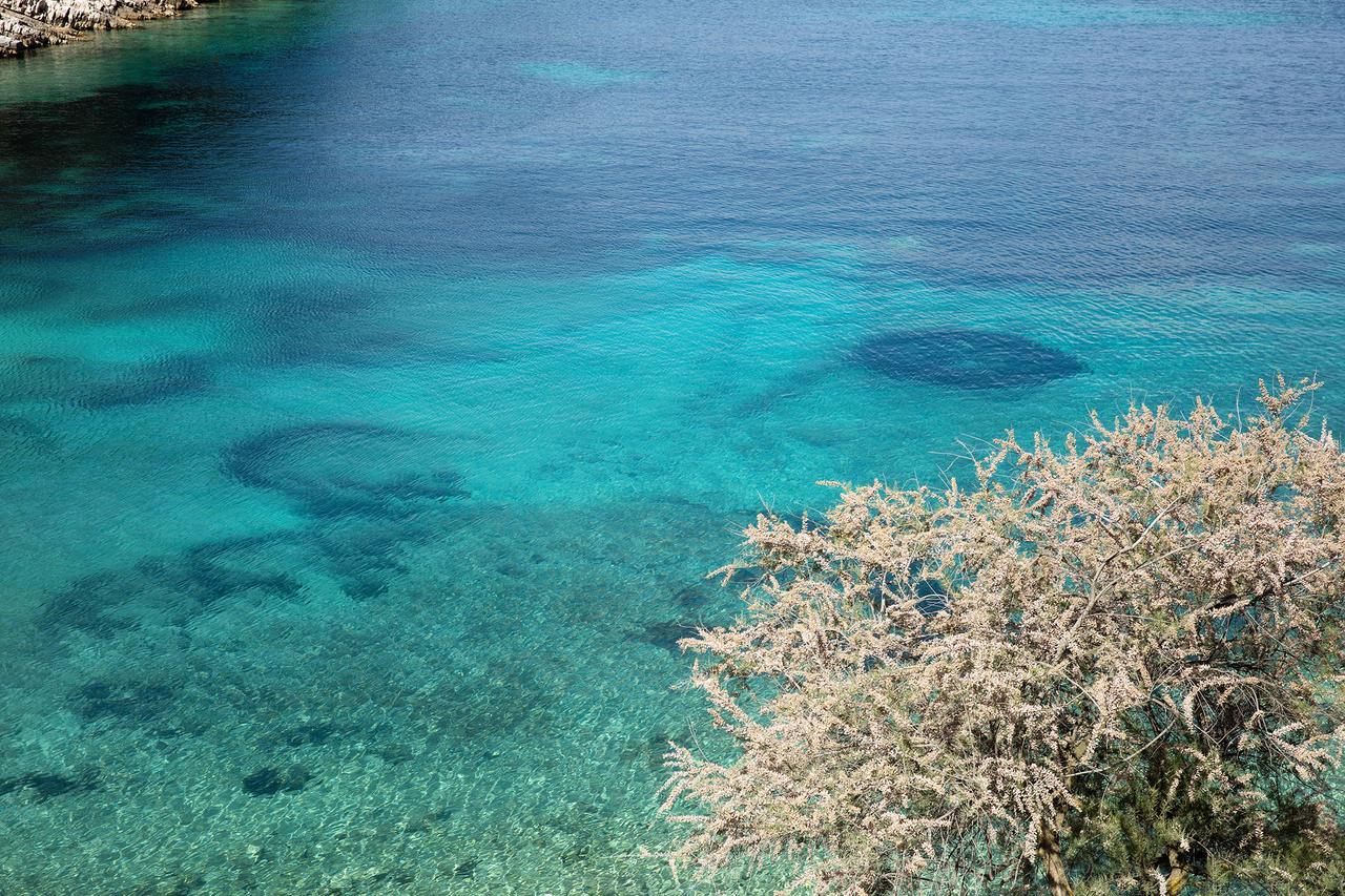 Little Green Bay Otel Hvar Island Dış mekan fotoğraf